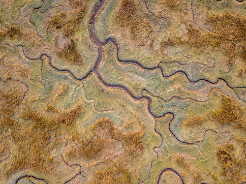 Preview: Aerial view of tidal marshland
