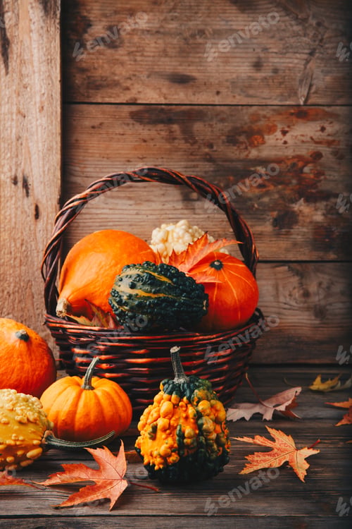 Preview: Colorful pumpkins and fall leaves on wooden background
