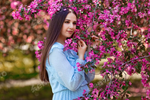 Preview: A girl , ong hair ,blue dress, stands near a pink blooming apple tree