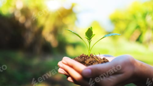 Preview: Closeup image of hands holding small tree with soil to grow with nature background