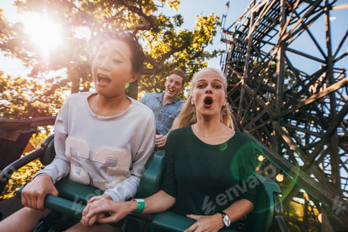 Preview: People enjoying a ride in amusement park