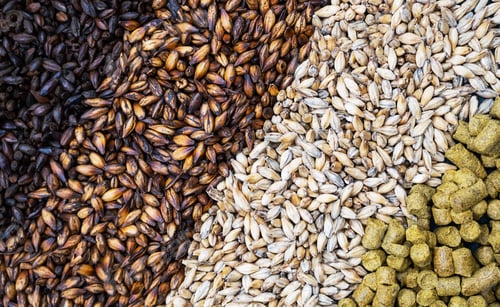 Preview: Pale Ale, Caramel and Black Malt Grains, Green Hops, Close-up.