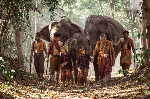 Preview: Elephant at sunrise in Thailand
