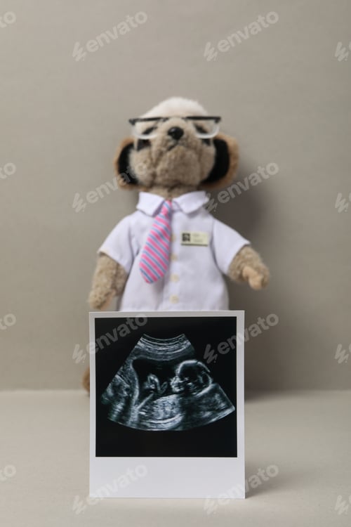 Preview: Concept of maternity, parenting, happy pregnancy period