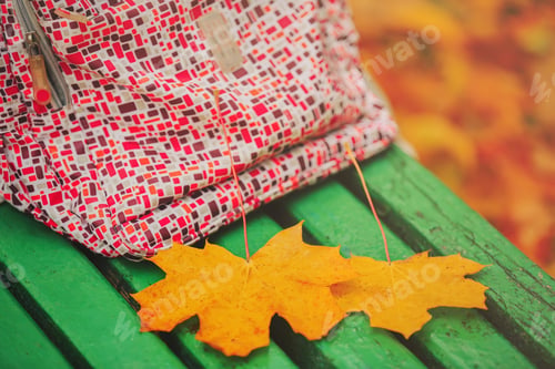 Preview: Falling leaves. Autumn in city park in yellow leaves. Yellow maple leaves on a green bench with