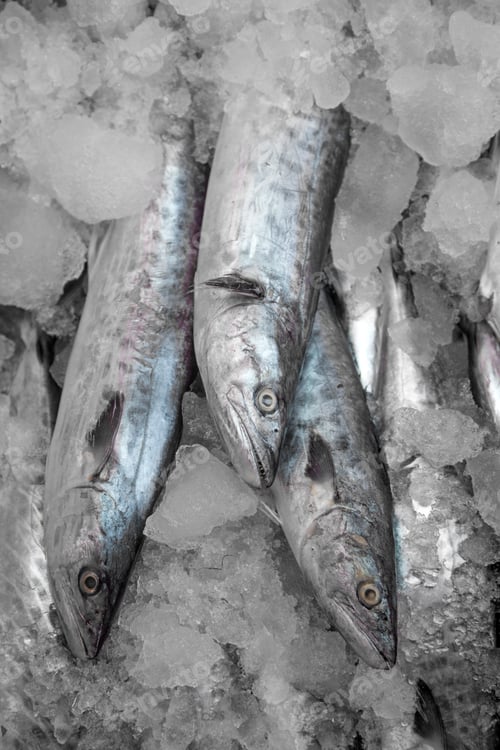 Preview: Fish on the ice in Kerala, India