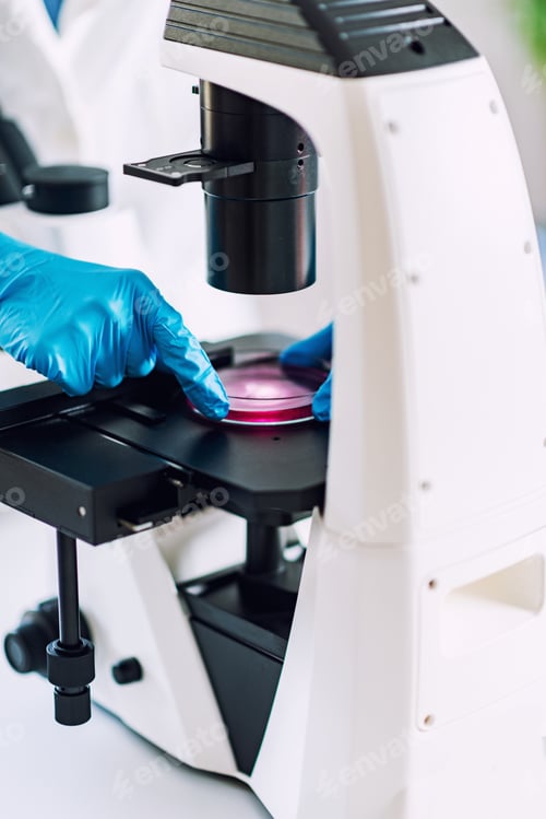 Preview: Laboratory work