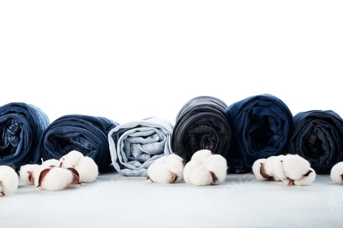 Preview: Row of rolled jeans and cotton flowers on light background