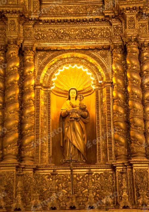 Vista previa: Ancient Basilica of Bom Jesus church