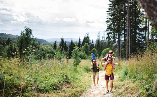 Preview: Family with small children hiking outdoors in summer nature