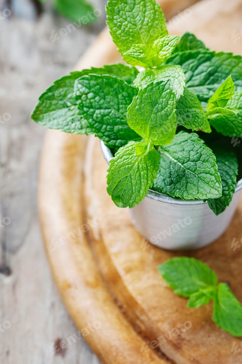 Preview: Green fresh mint on the wooden table