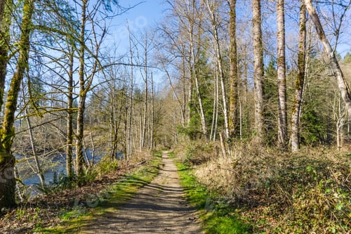 Preview: A View Of A Path Along The Green River In Washington State.