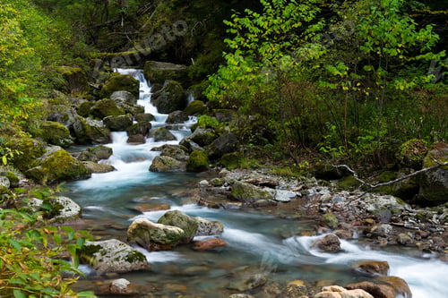 Preview: Cascade of waterfall in forest