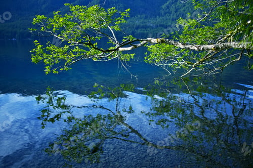Preview: Lake Crescent