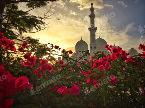 Preview: Mosque Architecture Flowers at Sunset