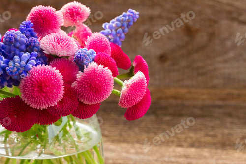 Preview: Muscari and Daisy Flowers