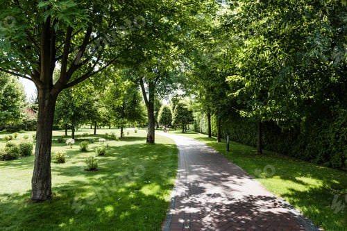 Preview: shadows on green grass with bushes and trees near path in park