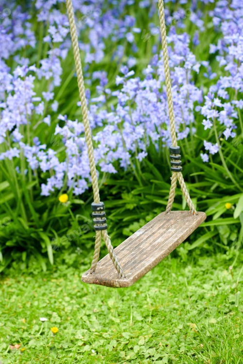 Preview: Garden in blue - Bluebell Scilla siberica,