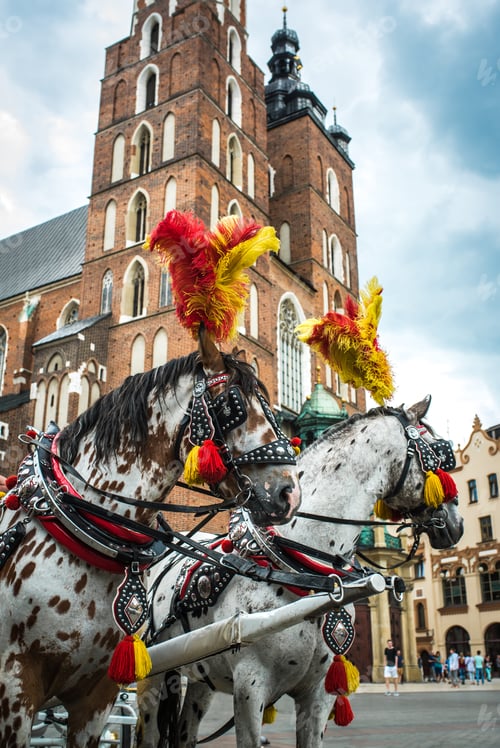 Preview: stylized coach with horses in the historical square of Krakow