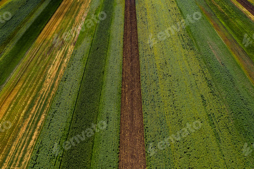 Preview: Aerial view of cultivated agricultural fields in summer