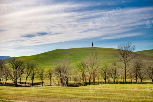 Preview: Typical landscape of Tuscany Italy