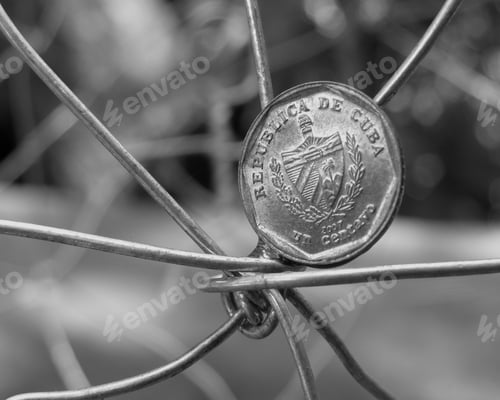 Preview: Grayscale a Cuban centavo on metal wires