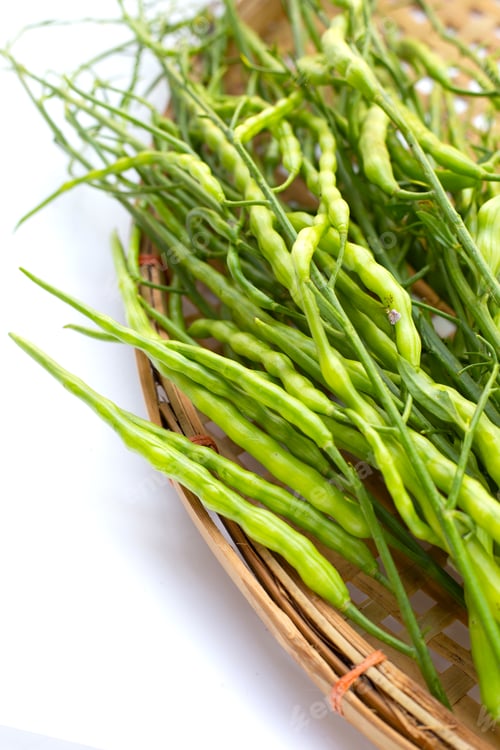 Preview: Rat-tailed radish. Fresh organic vegetables