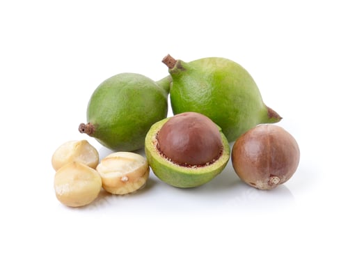 Preview: macadamia nuts on white background