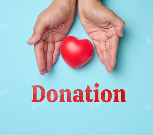 Preview: Female hands holds red heart, blue background. Love and donation concept