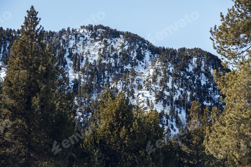 Preview: Picturesque view of mountains with forest in snow