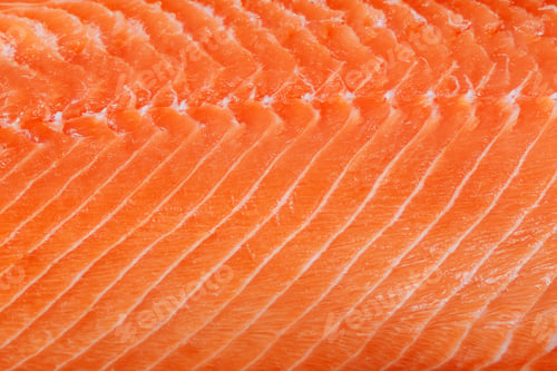 Preview: Raw fresh salmon fillet background, texture seafood, tasty, uncooked