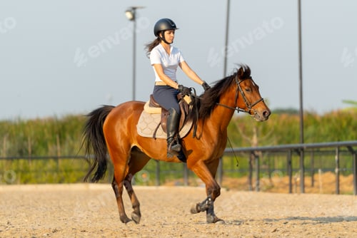 Preview: Portrait and wide shot of teen girl ride brown horse in racecourse with warm day light happiness.