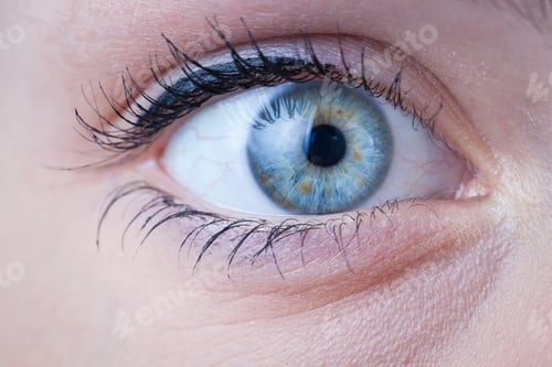 Preview: Close-up of a beautiful female blue eye