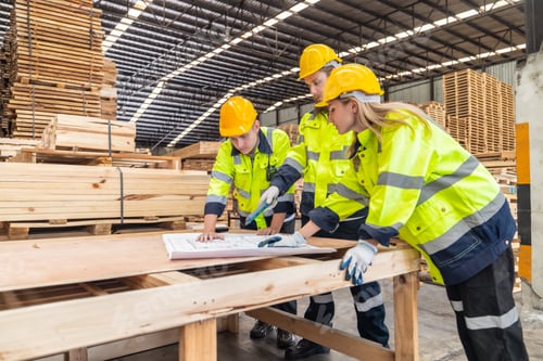 Preview: Woodworkers review blueprint, choose eco-friendly material, follow scheme for high quality assembly