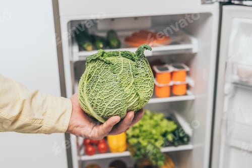 Preview: cropped view of man holding cabbage near open fridge with fresh food on shelves