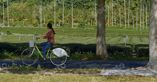 Preview: Woman ride a bike in countryside