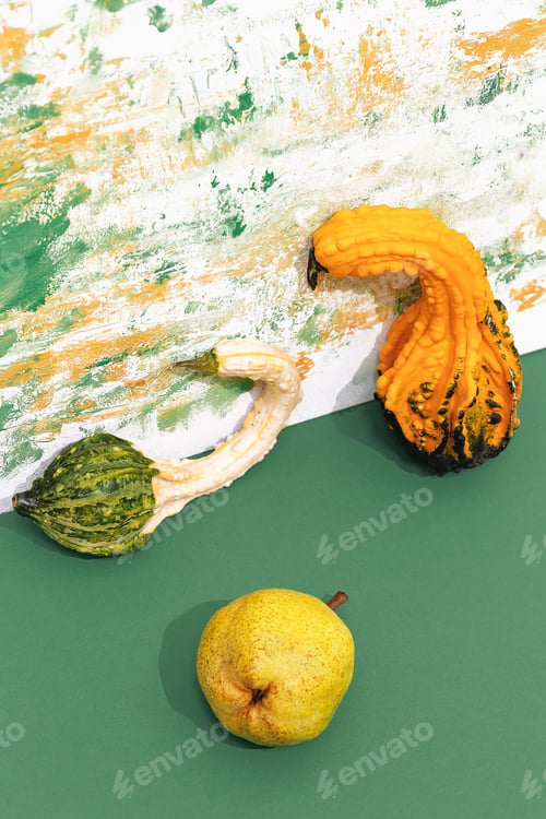 Preview: Pumpkin and pear on design painted background. Minimal art. Autumn eco bio life concept