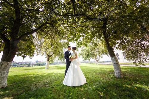 Aperçu: La mariée et le marié dans la nature. Promenez les jeunes mariés. Le jour du mariage. Le plus beau jour d'un jeune couple