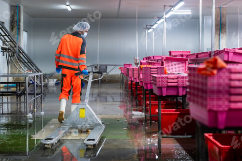 Preview: Transport workers lift fresh fish and seafood in the factory.