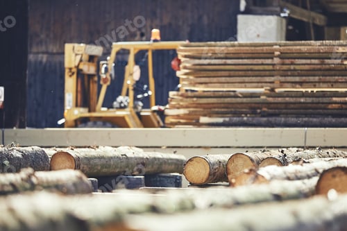 Preview: Timber at the sawmill