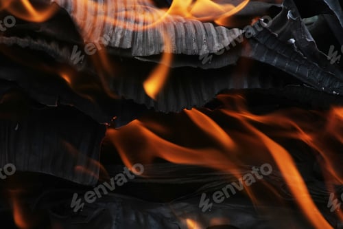 Preview: Burning Cardboard