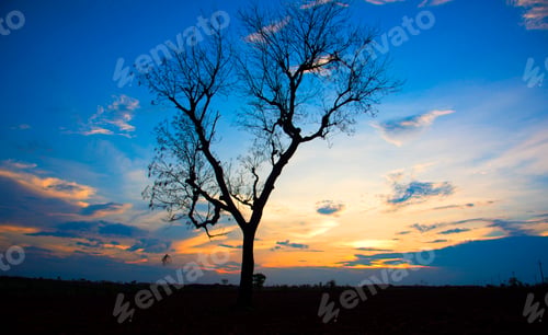Preview: Beautiful tree on sky background