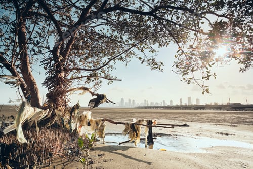 Preview: Garbage And Plastic Pollution On Seashore