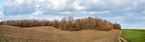 Preview: green fields on hills of winter wheat, plowed soil near forest and cloudy sky