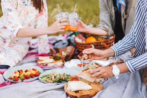 Preview: Close up girls spending time on beautiful picnic with variety of