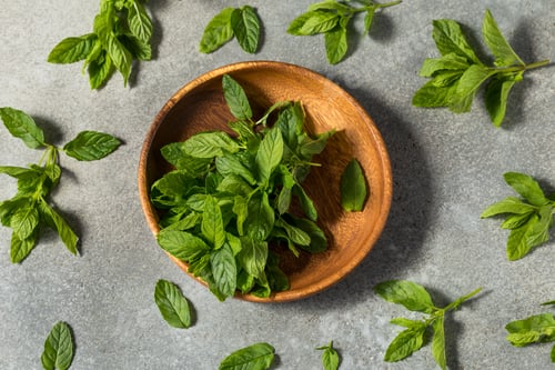 Preview: Raw Green Organic Mint Herbs