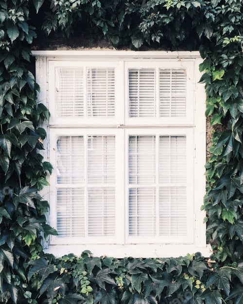 Preview: Window