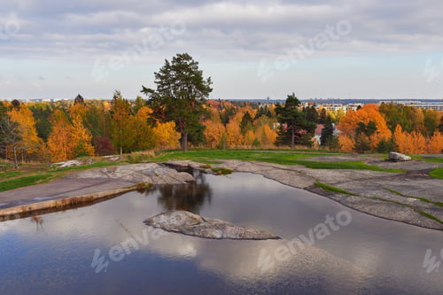 Preview: Autumn in European nature park.