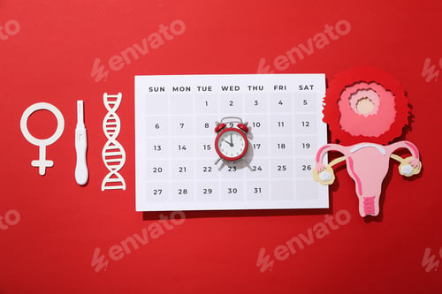 Preview: Ovulation period, calendar with clock, conception process.