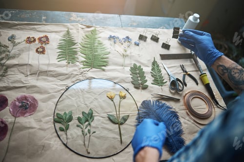 Preview: Male person in sterile gloves masking herbarium in workshop